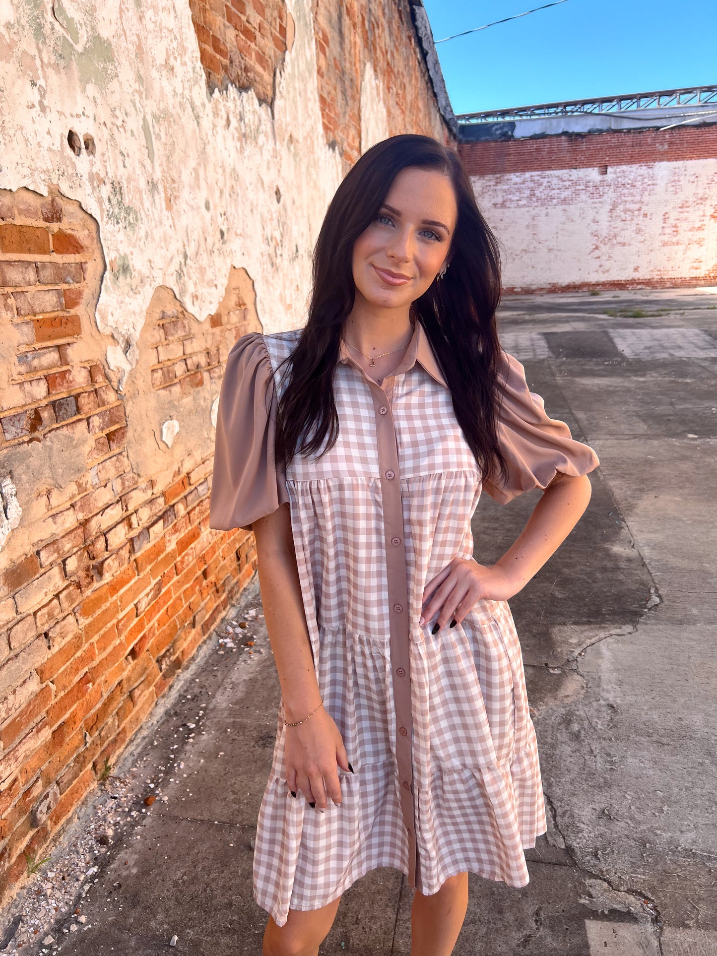 Brown Gingham Button Down Dress-Dress-Southern Grace Wholesale-06/24/25,1st md,7899B,DJR-The Twisted Chandelier
