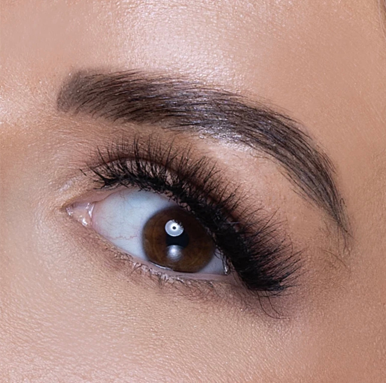 Reign Lashes | Sin | Glue on 3D Luxury Mink Lashes-Reign Lashes-Reign-The Twisted Chandelier