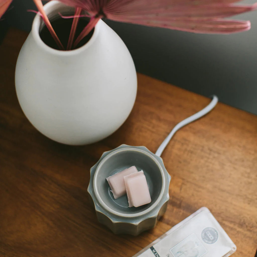 Bridgewater Sweet Grace Wax Melts-Candles-Bridgewater-1000002531,TTCB2549-The Twisted Chandelier