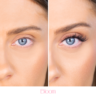 Pop-On Lashes - Style Bloom-Silly George-The Twisted Chandelier