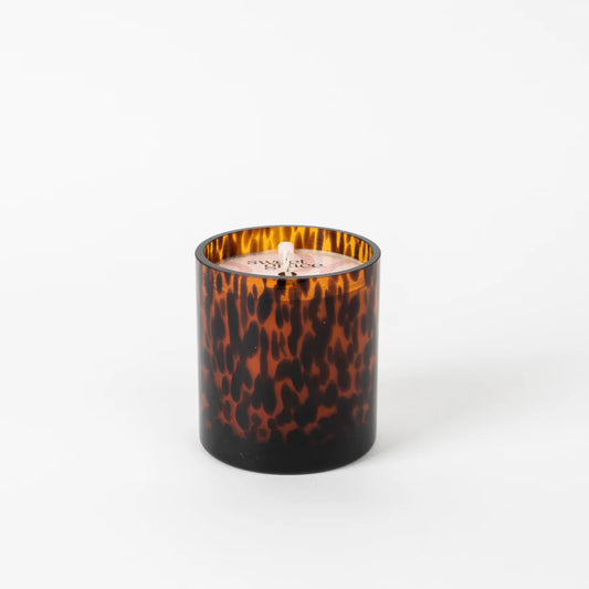 Sweet Grace Collection Candle #064 | Tortoise Design Candle | Bridgewater Candle Company-Candle-Bridgewater-Bridgewater,FD 11/1/25-The Twisted Chandelier