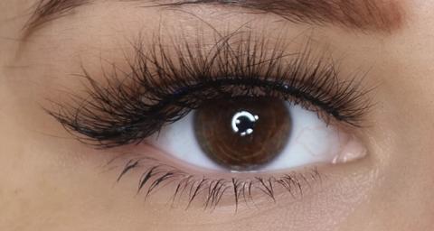 Reign Lashes | Paige | Glue on 3D Luxury Mink Lashes-Reign Lashes-Reign-The Twisted Chandelier